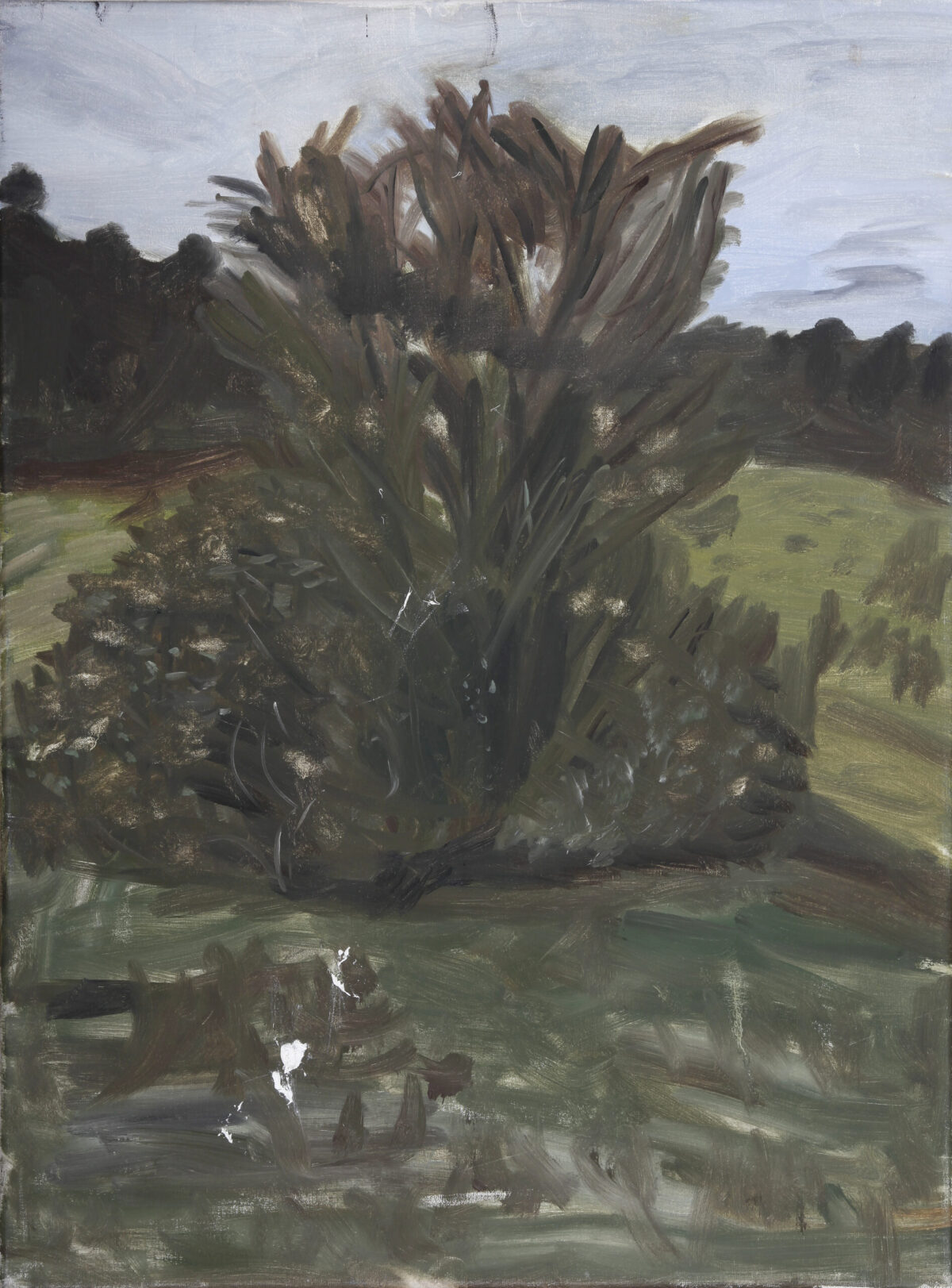 Devon