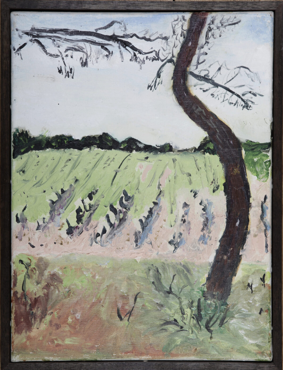 Provence VIII