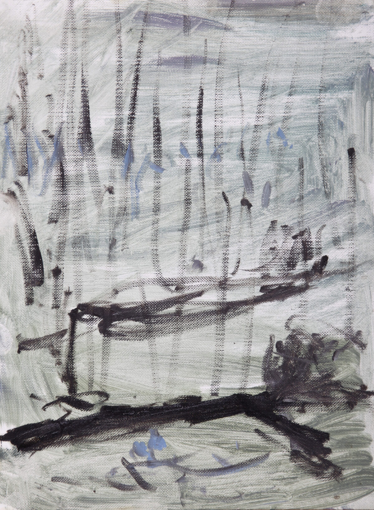 Wytham Woods II